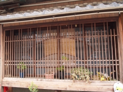 尾頭橋11