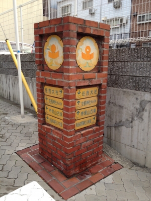 タンポポ