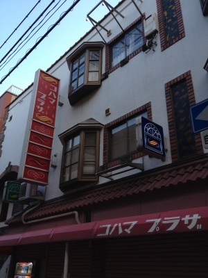 タンポポ