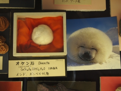 益富