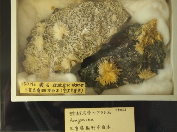 益富