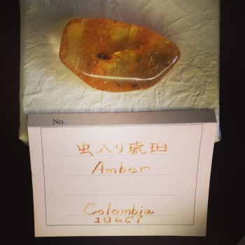 益富