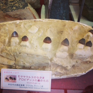 益富
