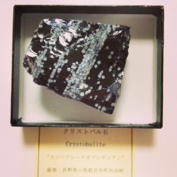 益富