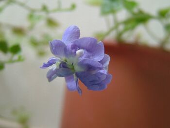 FUJIFILM FinePix F700