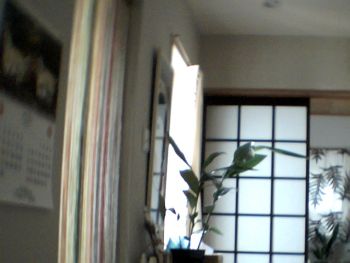 写りが悪いですぅ。(^^ゞ