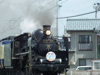 ちょっと早い?