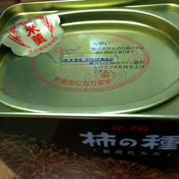 貯金箱になるのね