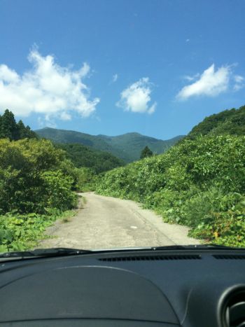 石名天然杉への道