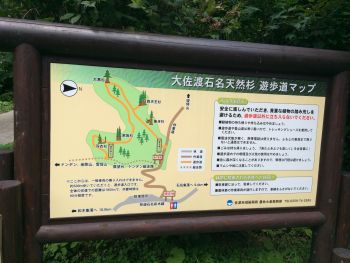クロックスじゃあねぇ。。。