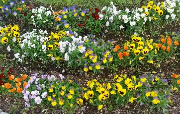 20170427_161350-1-362x230.jpg