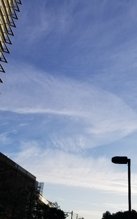 20190117_165545-458x732.jpg