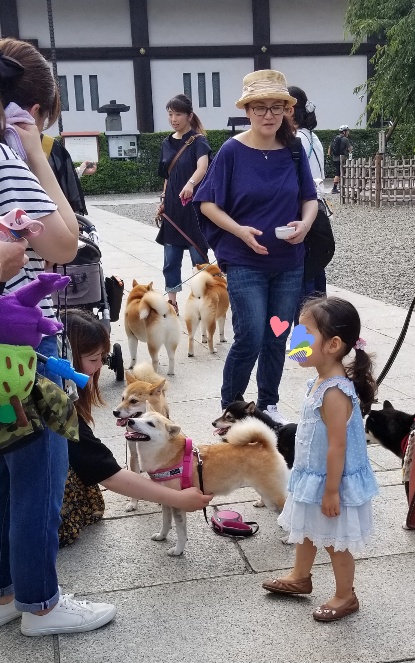 20190824_132211-415x663.jpg
