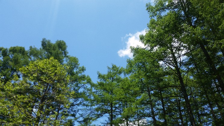 20150607_115805_copy_743x418.jpg