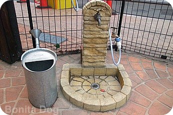 わんこの足洗い場