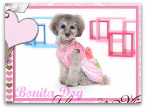 犬服プリンセスドレス〔ピンク×ホワイト〕