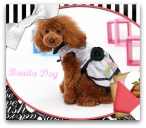 犬服プリンセスドレス〔グレー×ブラック〕