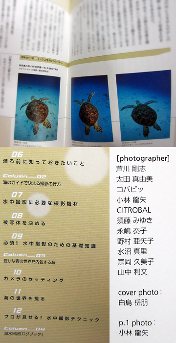 水中を撮る!