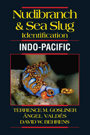 Nudibranch and Sea Slug Identification