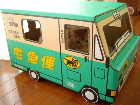 クロネコバス