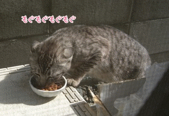 もぐもぐチラッ、ビクビク。