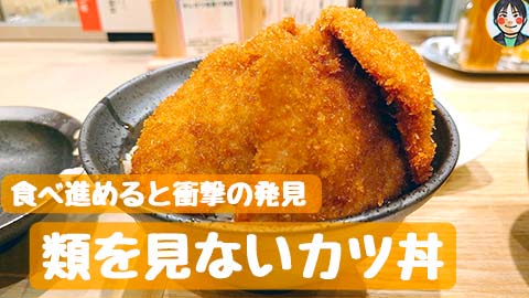 新潟カツ丼 タレカツ 高倉六角店 - 食べ進めると衝撃の発見 類を見ないカツ丼