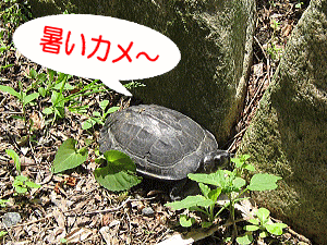 ここはどこ〜〜?