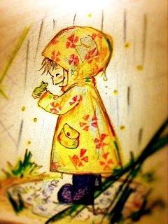 梅雨のカエル