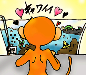カメを飼う