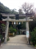 玉造神社の鳥居