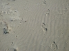 稲佐の浜の足跡
