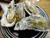 宮島の焼ガキ