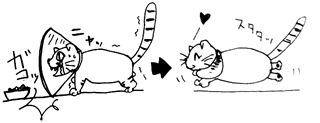 マンチカンとエリザベスカラーイラスト