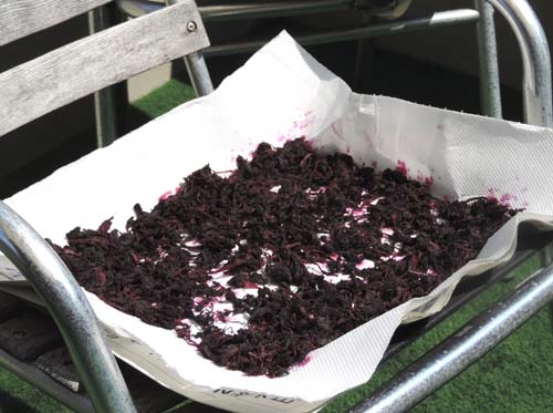 umebosi6.jpg