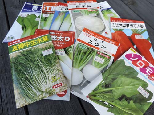 akinotanemaki4.jpg