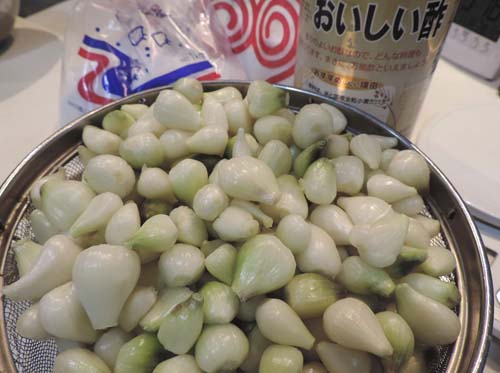 arusutoromeria4.jpg