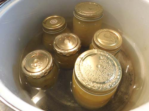 natumikanjam6.jpg