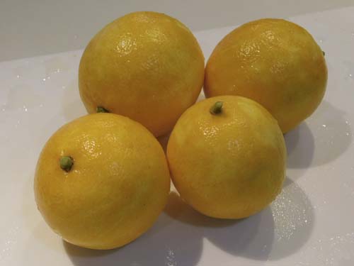 siolemon4.jpg