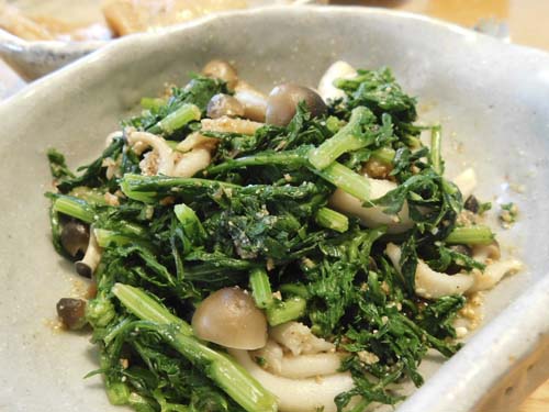 hiyosikakonai8.jpg