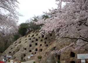 よしみんのふるさとかも
