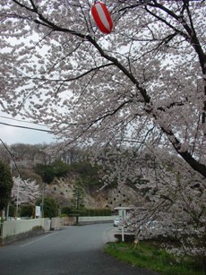 今だけの景色だよ