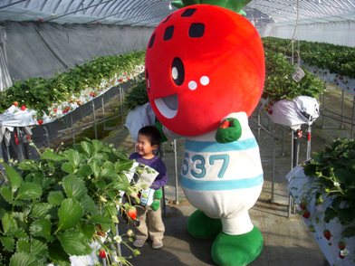 ちびっこだーいすき