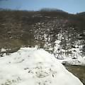 20060503_45903.jpg