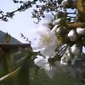 20060518_60537.jpg