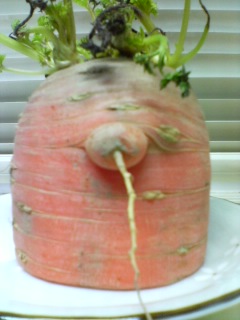 20070420_265429.jpg