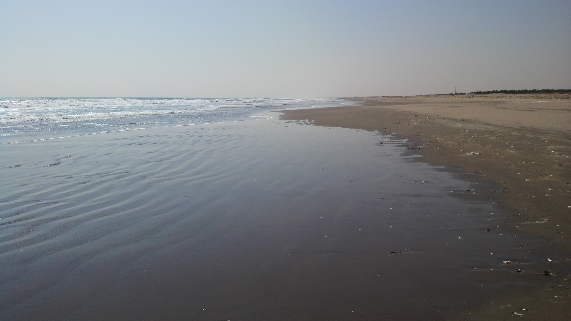 2013030611360000.jpg