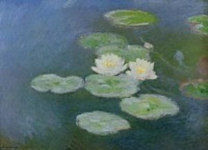 Water-Lilies.night effects 1897-98¡¡