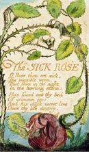 The Sick Rose, from Songs of Innocence by William Blake¡¡¡Öɤá¤ëé¬é¯¡×