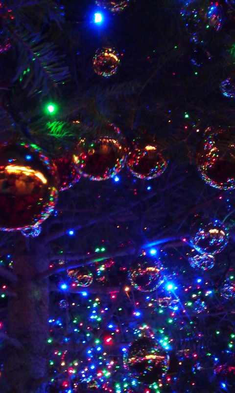 101219_1828~01.jpg