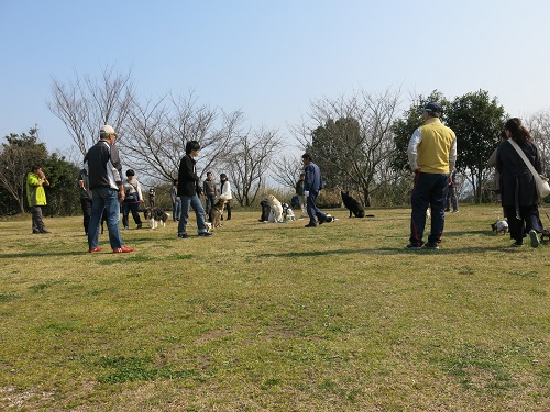 29050816.JPG